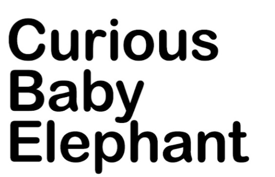 : Curious Baby Elephant